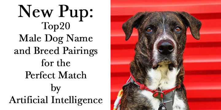 20 male dog names along with the suggested breed and WHY My