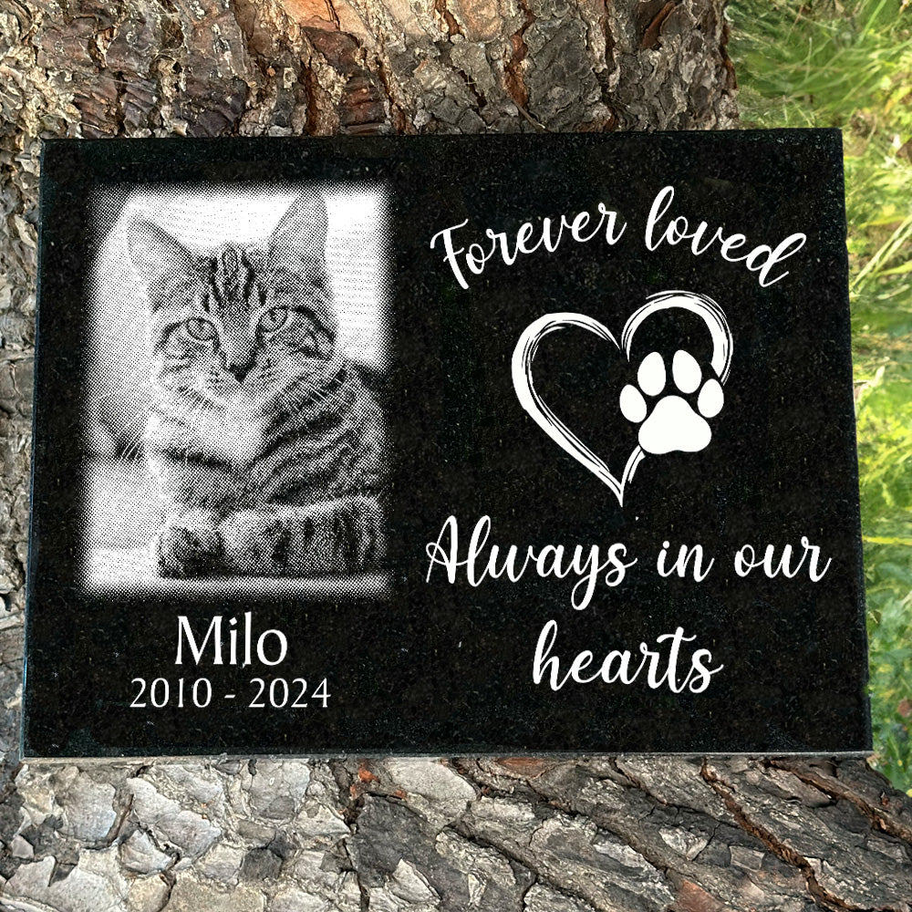 Pet memorial for cat made of granite and sand carved