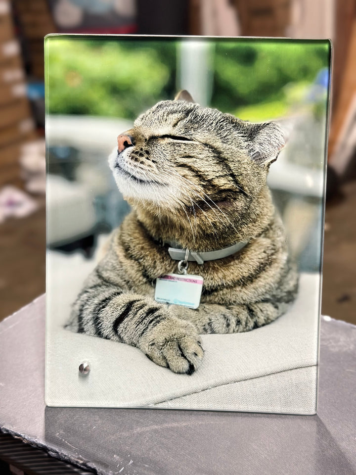 Pet Glass Picture Frame   Pet Remembrance Photo