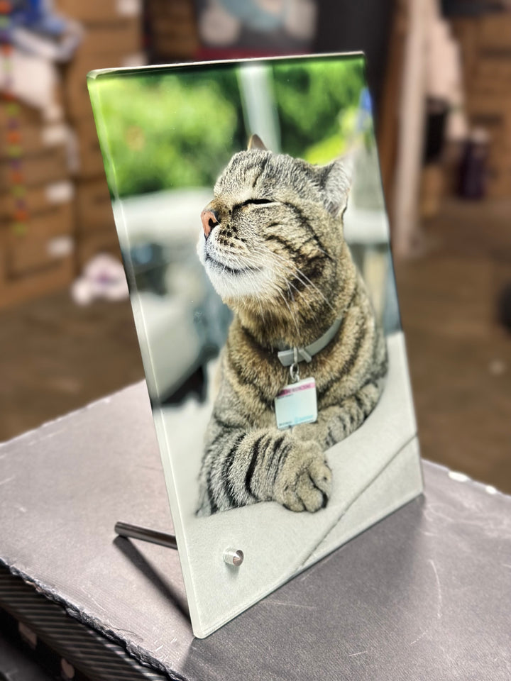 Pet Glass Picture Frame   Pet Remembrance Photo