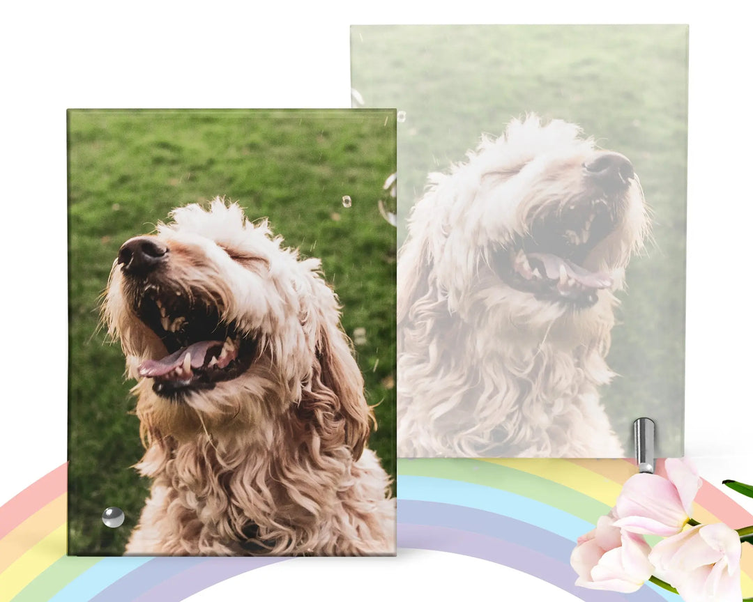 Pet Glass Picture Frame   Pet Remembrance Photo Glass Portrait