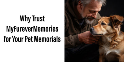 Why Trust MyFureverMemories for Your Pet Memorials