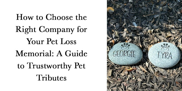 How to Choose the Right Company for Your Pet Loss Memorial: A Guide to Trustworthy Pet Tributes