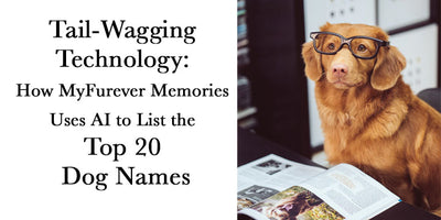 Paws-itively Perfect: MyFurEverMemories.com's Use of AI for the Top 20 Male and Female Dog Names