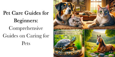 Pet Care Guides for Beginners: Comprehensive Guides on Caring for Pets
