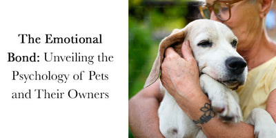 The Emotional Bond: Unveiling the Psychology of Pets and Their Owners