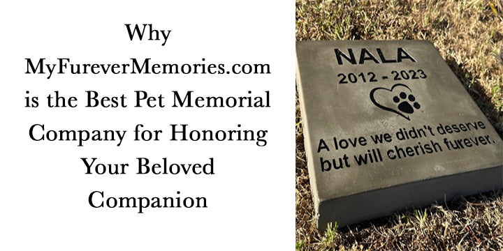 What is the Best Pet Memorial Company?