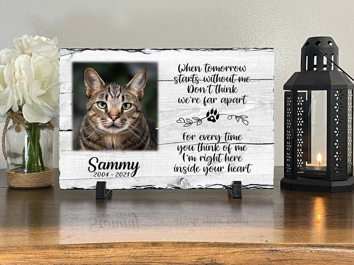 Cats Memorial My Furever Memories