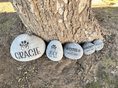 sandcarved engraved pet memorial river rock personalized with dog name