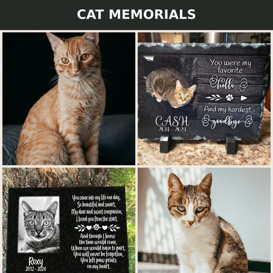 Cats