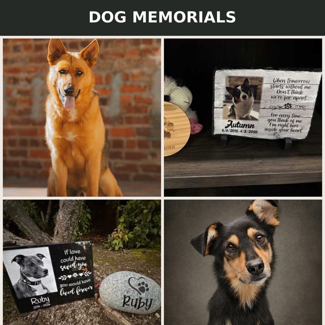 Dog memorial collection featuring two dogs and customer photos of indoor and outdoor memorials