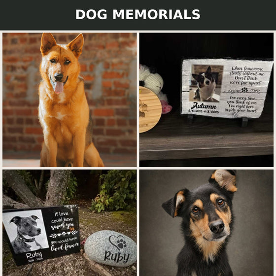 Dogs