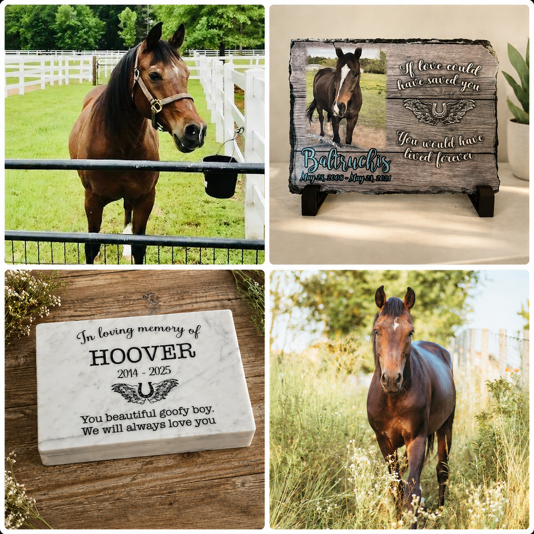 Horses