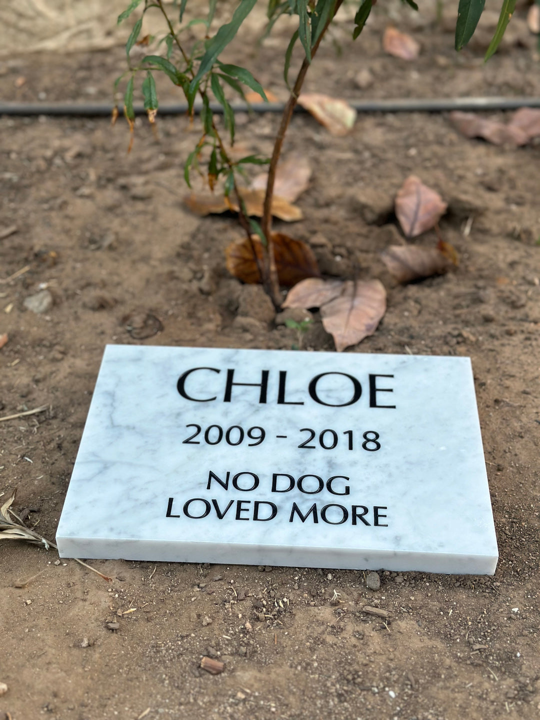 Marble Marker, Pet headstones, Custom Outdoor Engraved In Loving Memory