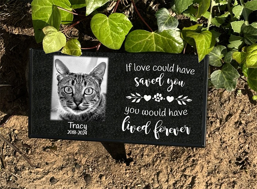 12 x 6 black granite cat memorial stake with If Love Could Have Saved You inscription