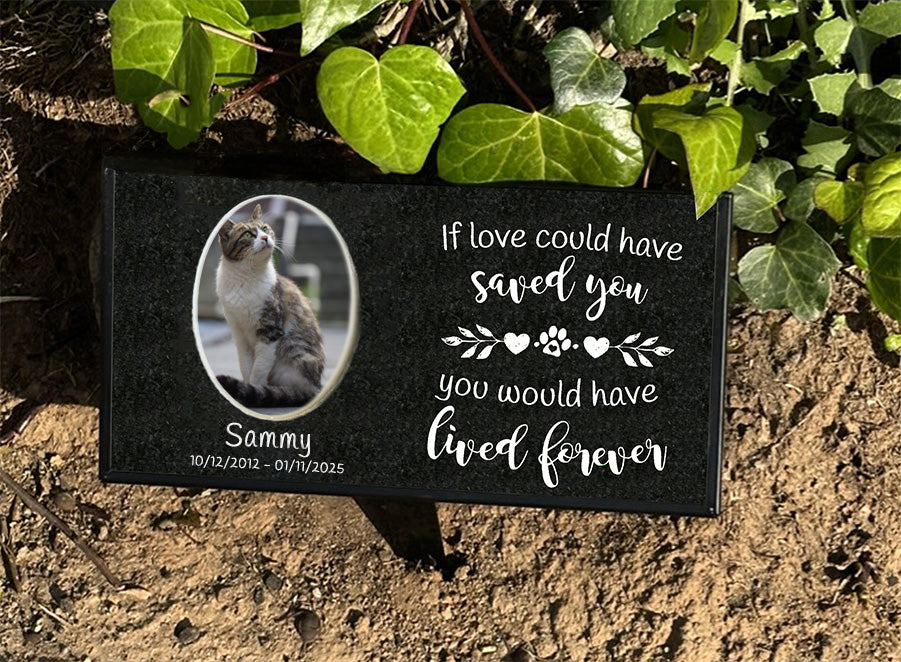 Outdoor black granite cat memorial stake with kiln-fired color portrait