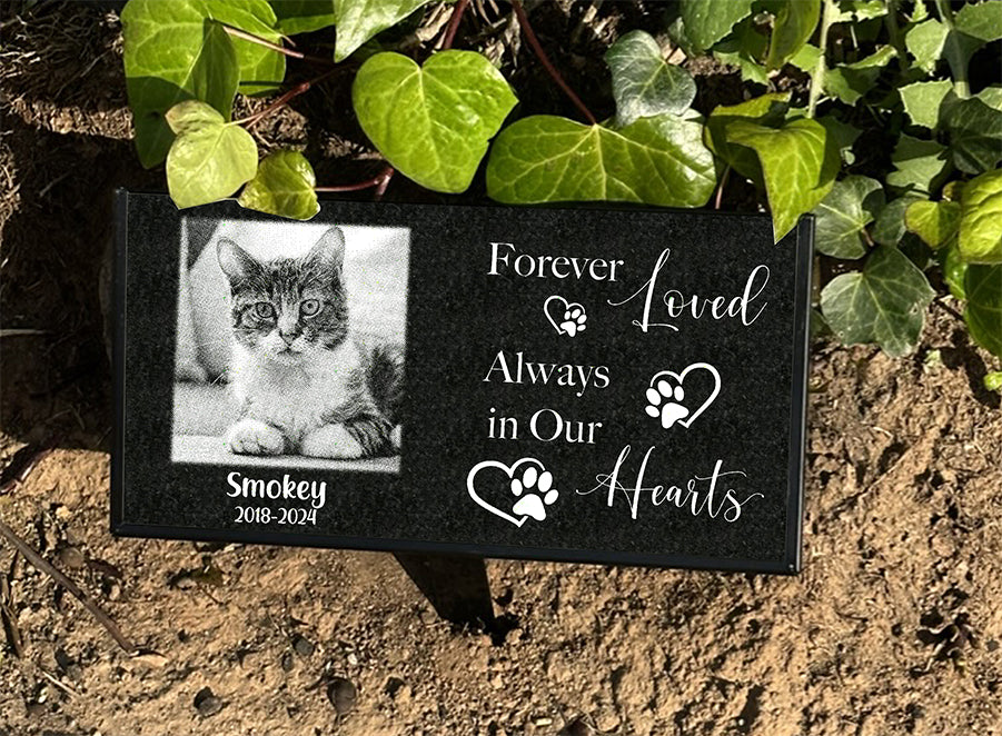 12 x 6 black granite cat memorial stake with Forever Loved inscription