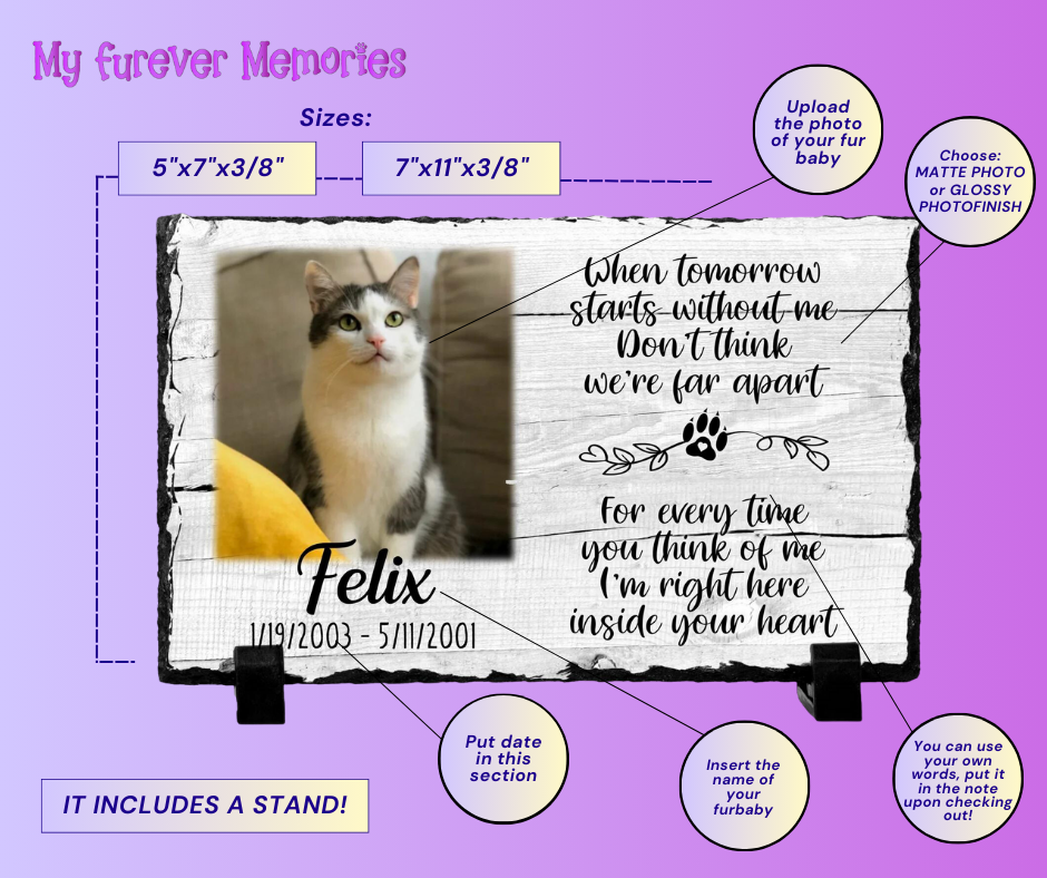 Pet Loss Gift Personalized Cat Memorial Plaque   When tomorrow starts without me   Personalized Keepsake
