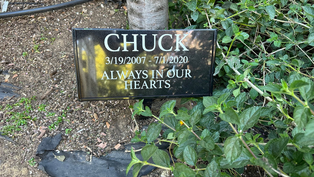 Outdoor Personalized Pet Memorial Plaque always in our hearts Personalized Outdoor garden marker