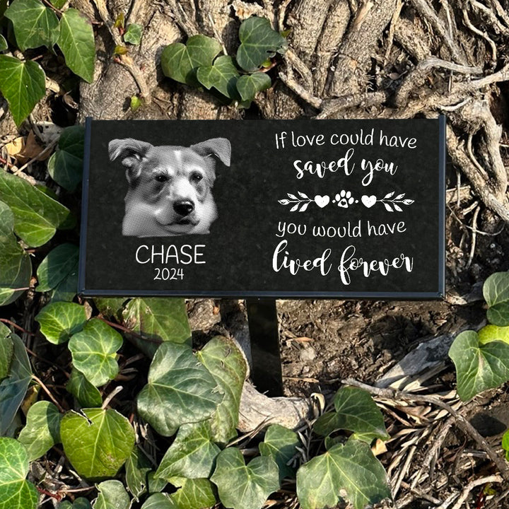 Outdoor Personalized Dog Memorial Plaque If Love Could Have Saved You Personalized Outdoor Plaque