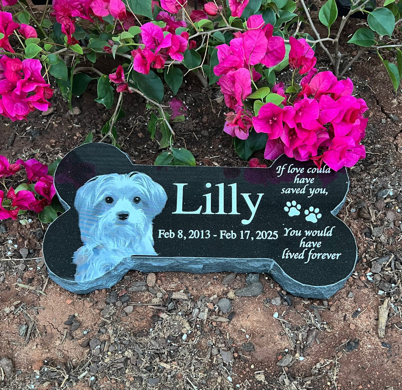 Personalized black granite pet memorial placed outdoors