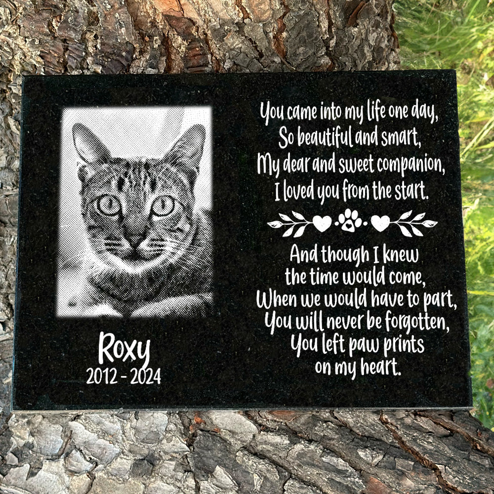 Outdoor black granite cat memorial with You Came into My Life One Day poem