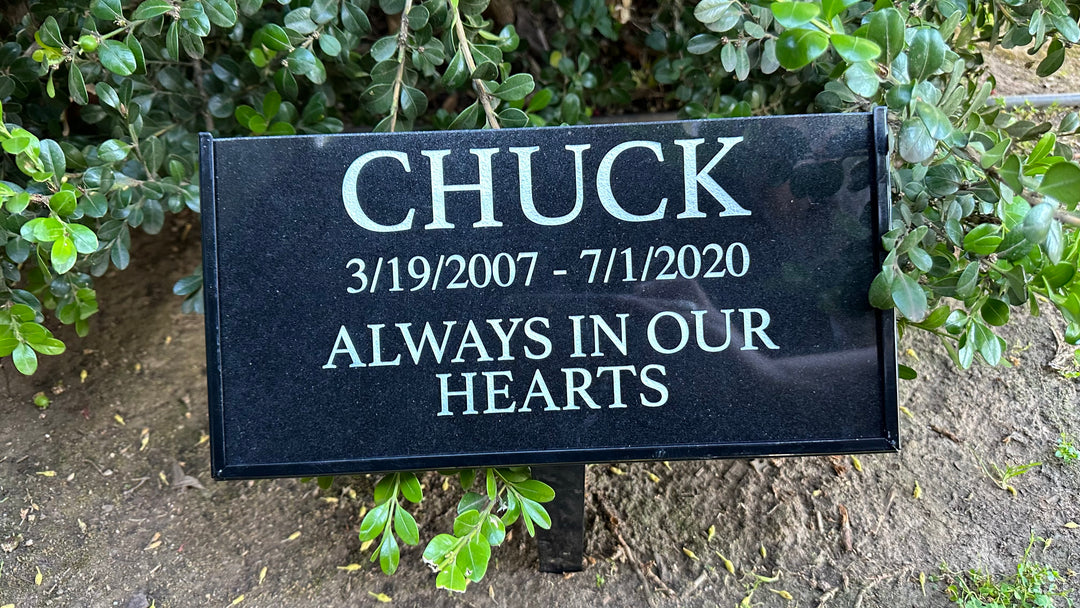 Personalized Granite Pet Memorial Plaque Outdoor Stake - Always in our hearts