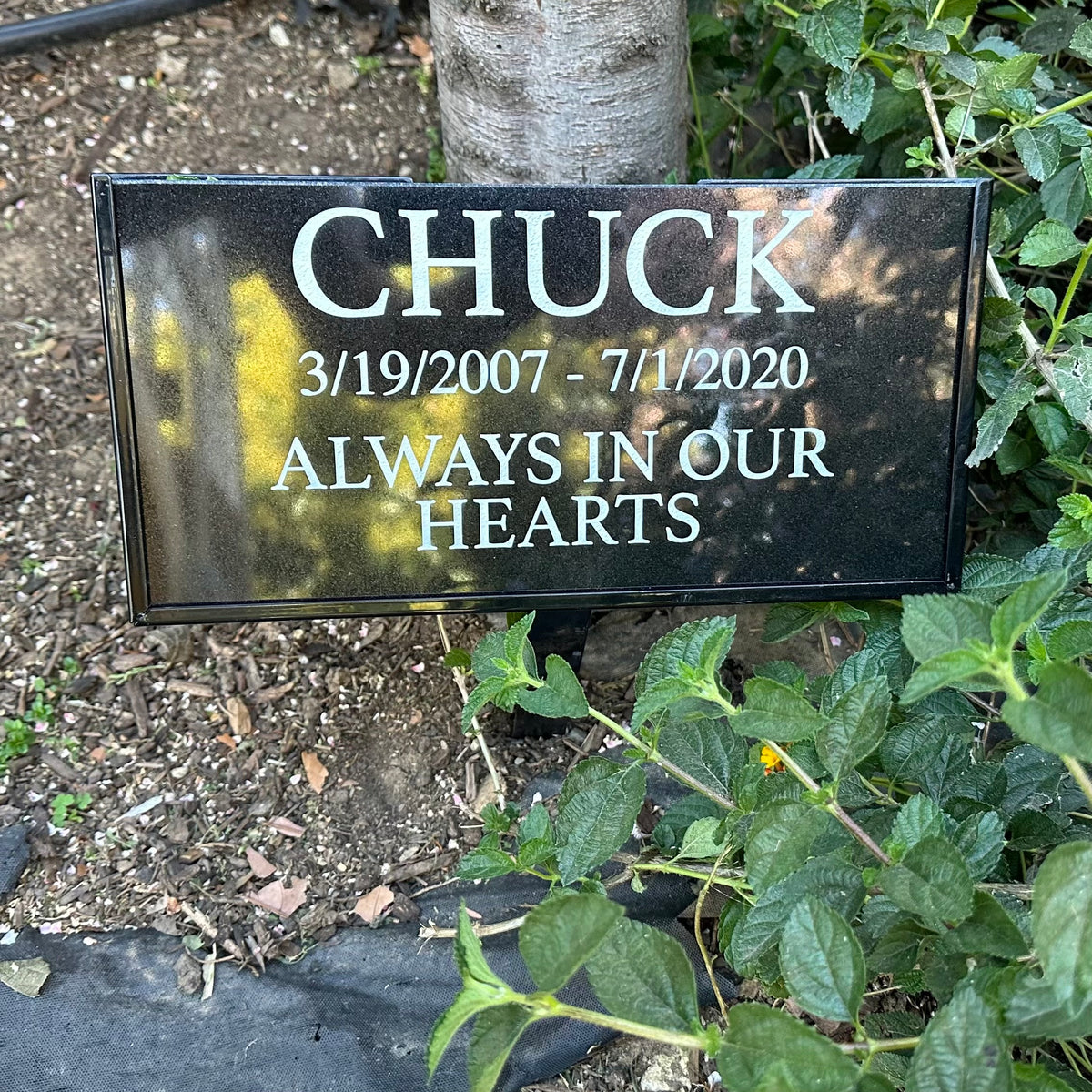 Personalized granite pet memorial stake with Always in Our Hearts inscription