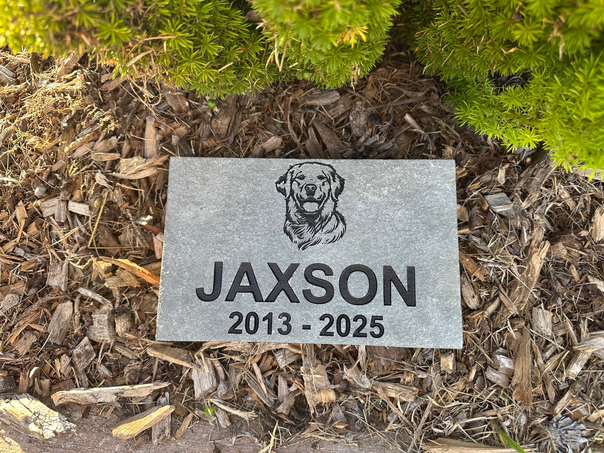 Memorial stone with a dog's name and years on mulch