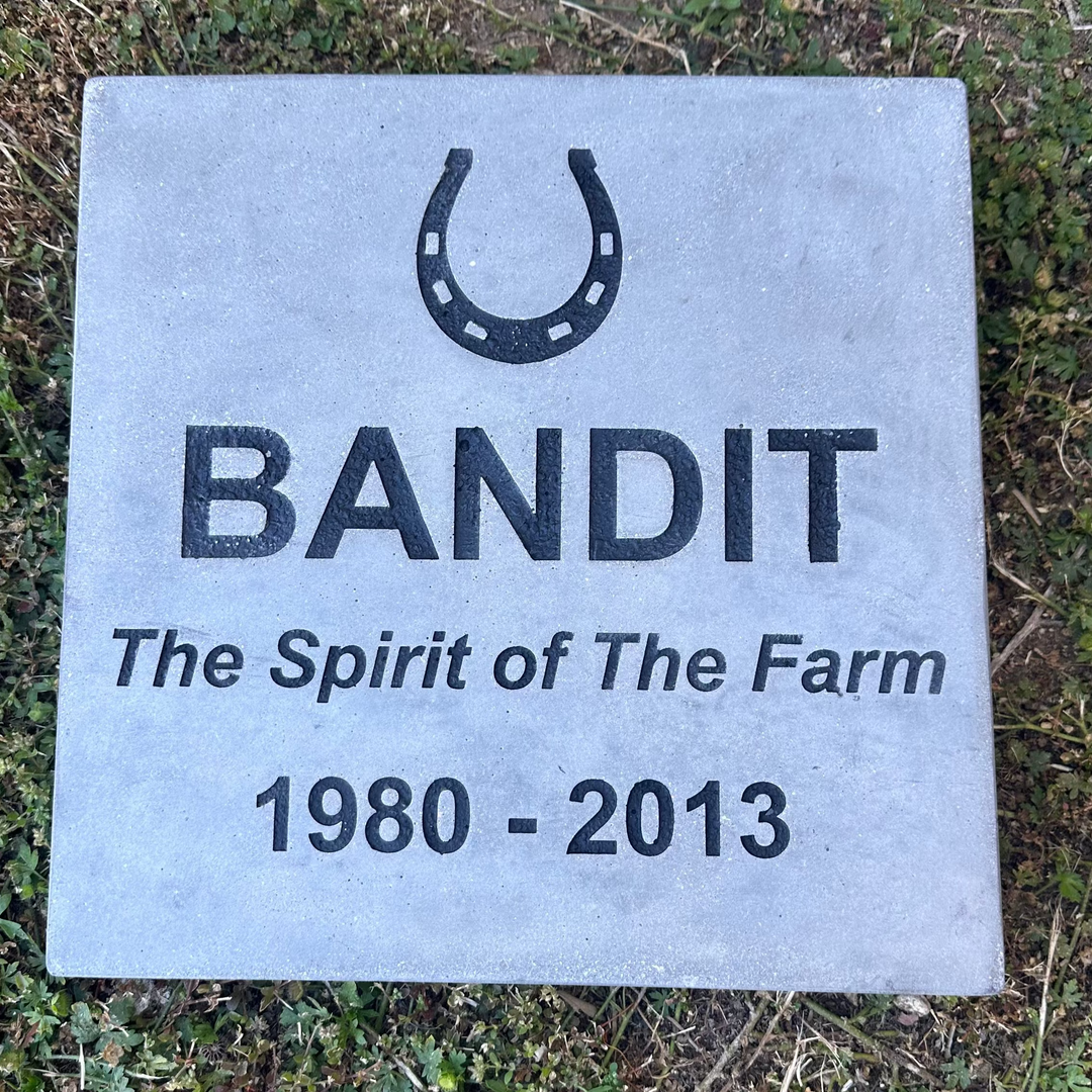 Memorial stone for 'Bandit' with horseshoe symbol on a grassy ground.