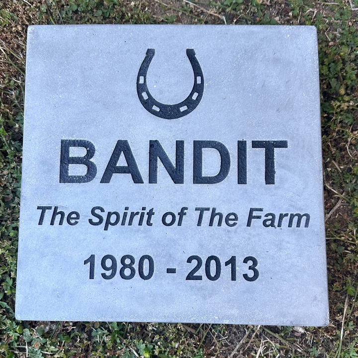Memorial stone for 'Bandit' with horseshoe symbol on a grassy ground.