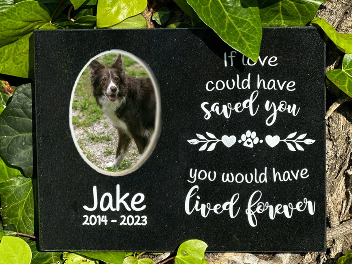 11 x 8.5 black granite dog memorial with color portrait and “If Love Could Have Saved You”