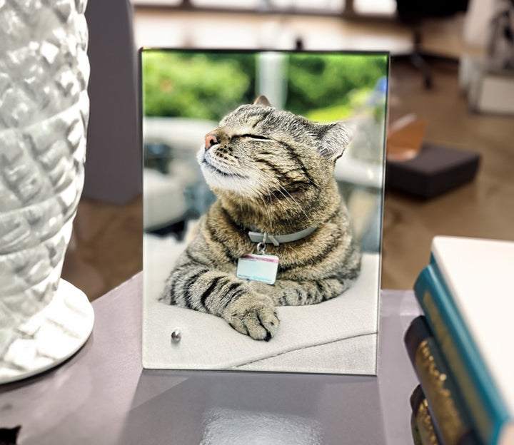 Glass Picture Frame with Built in Stand