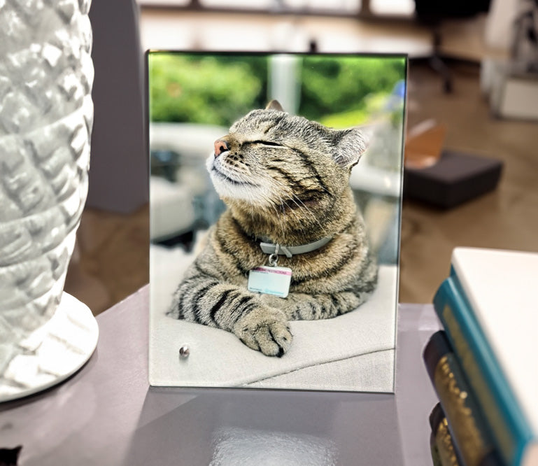 Glass Picture Frame with Built in Stand