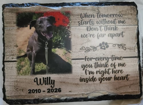 Customer indoor slate cat memorial