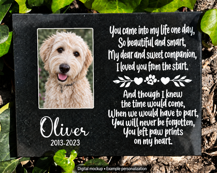 Outdoor Personalized Dog Memorial Plaque You Left Pawprints On My Heart Personalized Outdoor Plaque — kiln-fired rectangular porcelain color photo; digital mockup, example personalization.