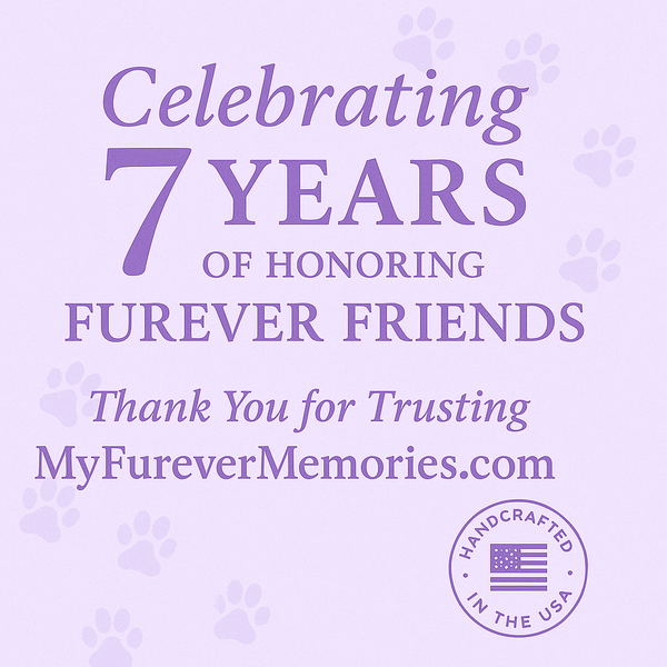 Celebrating 7 Years
