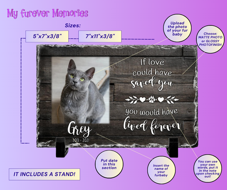 Personalized Cat Memorial Plaque If love could have saved you Stone Keepsake