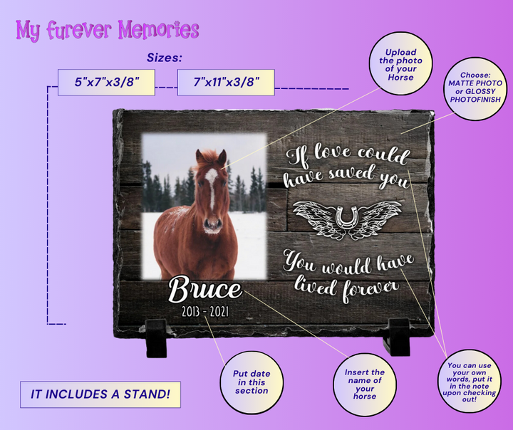 Personalized Horse Memorial Keepsake  If love could have saved you Personalized Picture Keepsake