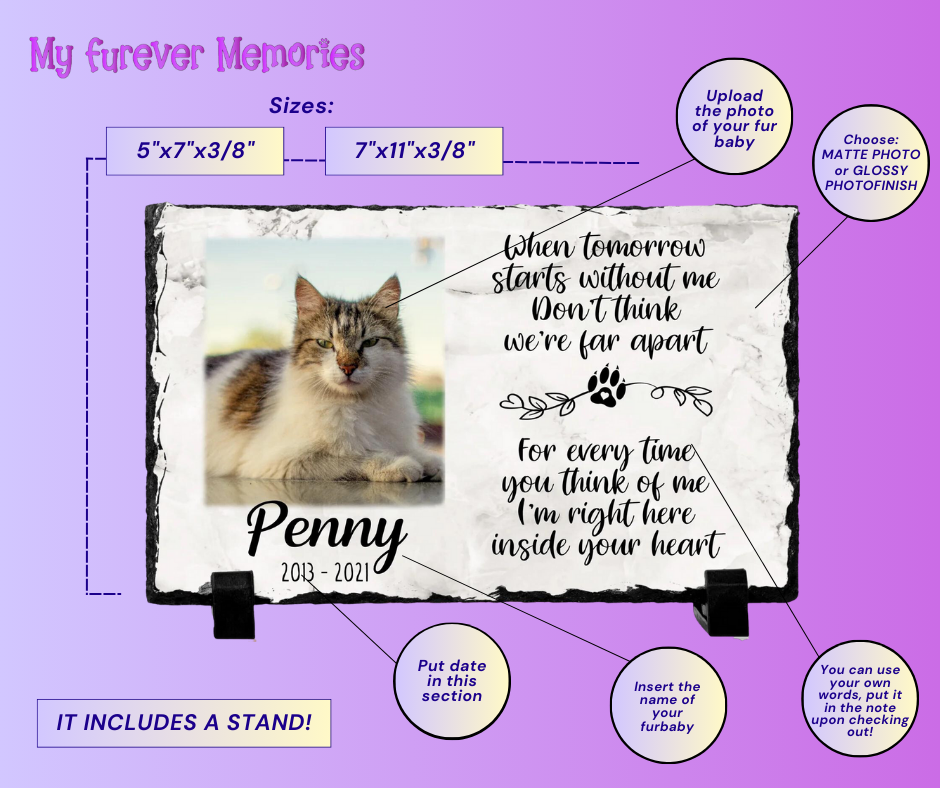 Pet Bereavement Gifts Cat Memorial Plaque When tomorrow starts without me  Cat loss Personalized Keepsake