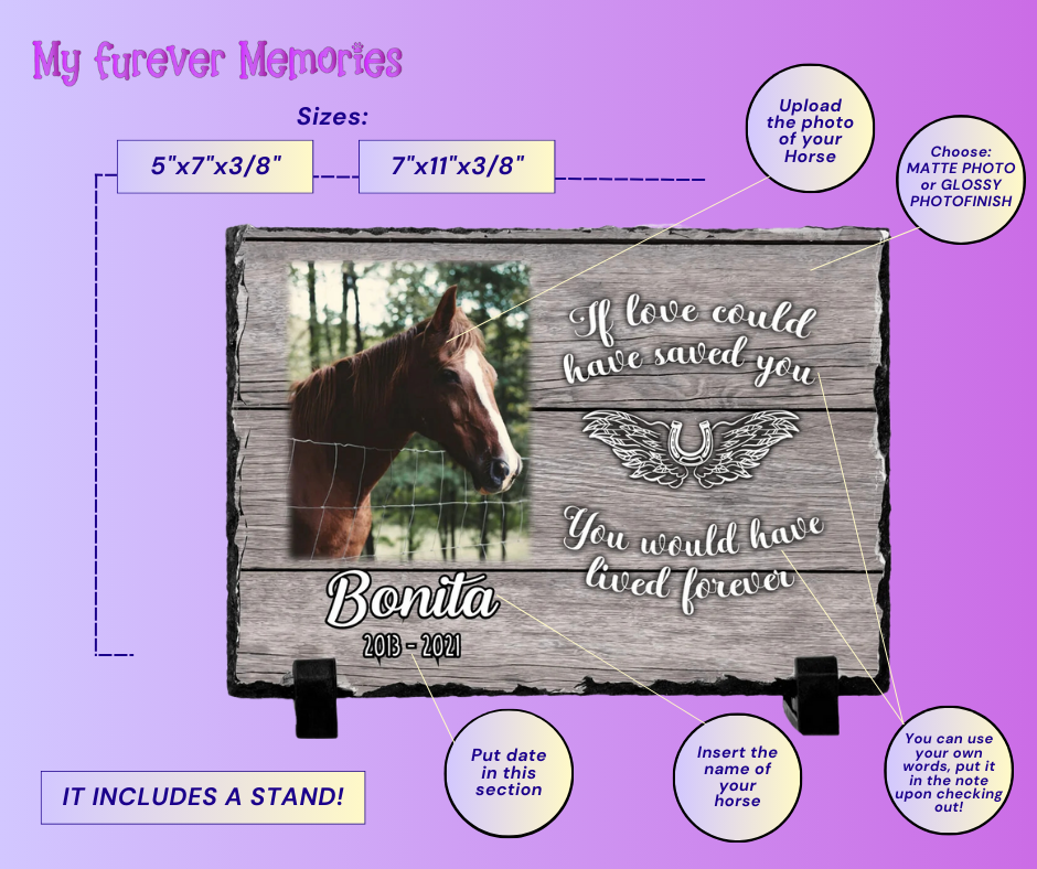 Personalized Horse Memorial Plaque   If love alone could have kept you here  Personalized Picture Keepsake