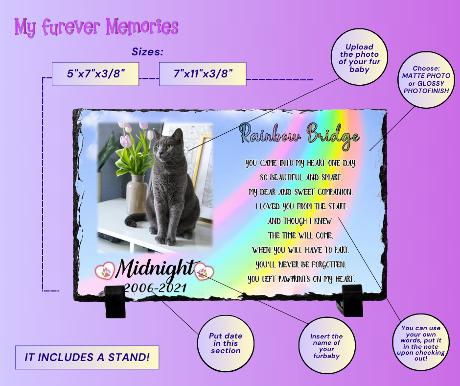 FURRY NOTEBOOK - CAT - Beyond The Rainbow