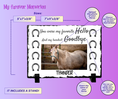 Personalized Horse Memorial Plaque   You were my favorite Hello and my hardest Goodbye    Personalized Keepsake