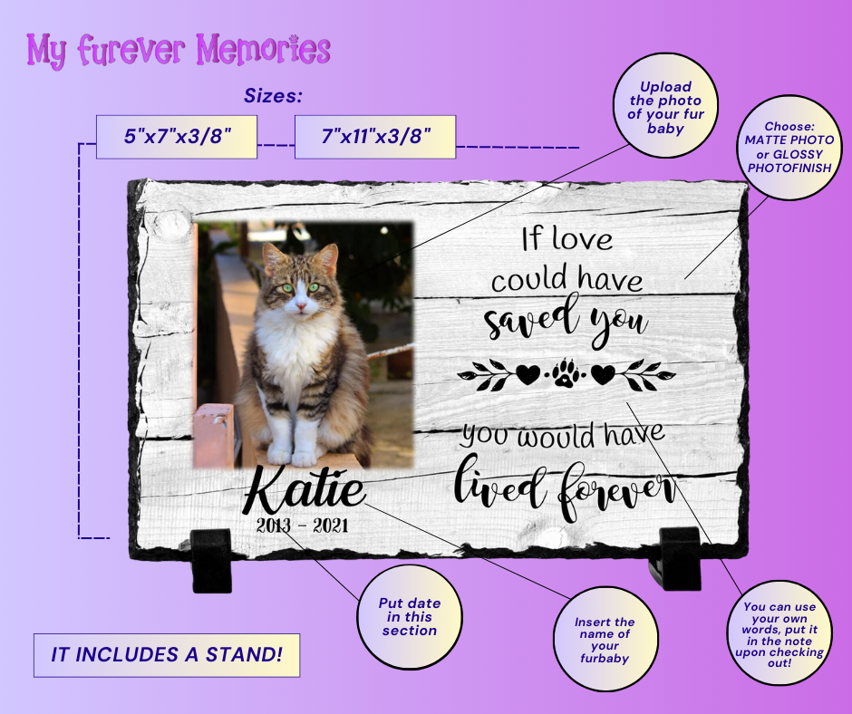 Personalized Cat Memorial Plaque   If love alone could have kept you here  Personalized Picture Keepsake
