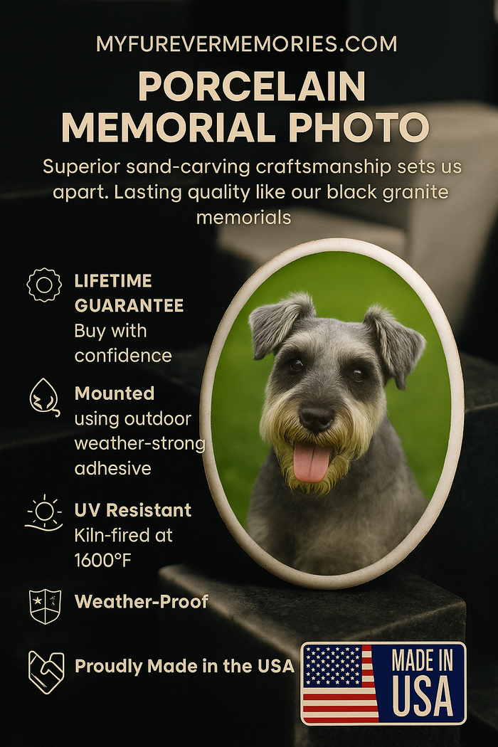 Kiln-fired porcelain pet portrait installed on black granite