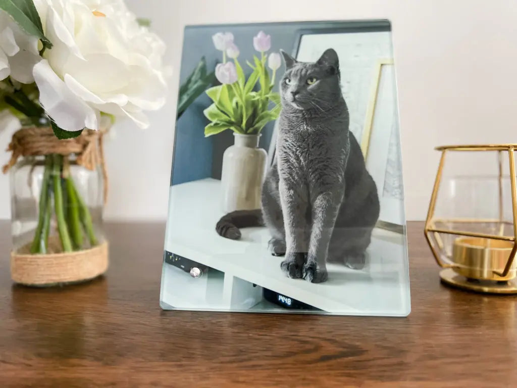 Cat Glass Picture Frame   Pet Remembrance Photo Glass Portrait