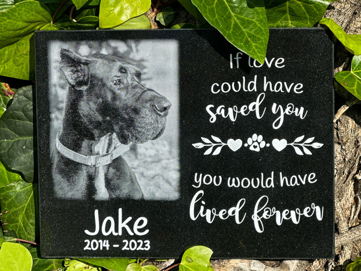 Personalized black granite dog memorial plaque with photo and “If Love Could Have Saved You”