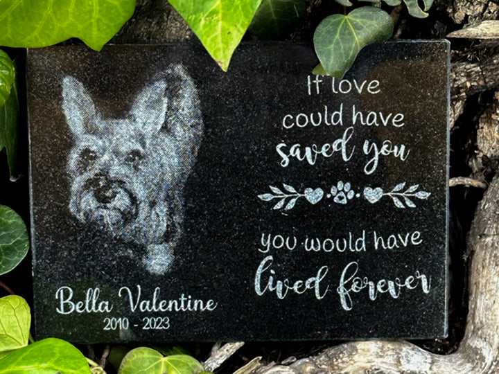 Outdoor Personalized Dog Memorial Plaque If Love Could Have Saved You Personalized Outdoor Plaque