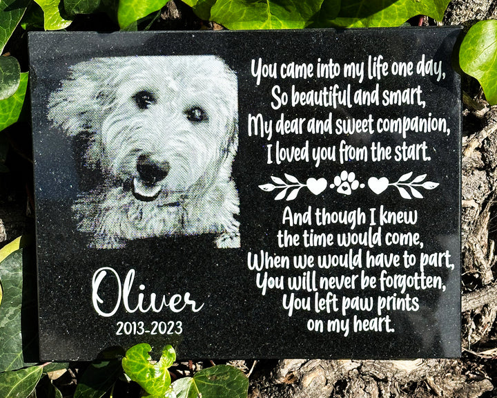 Outdoor Personalized Dog Memorial Plaque You Left Pawprints On My Heart Personalized Outdoor Plaque