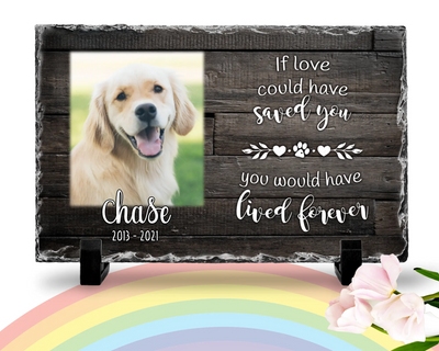  Custom Pet Memorial Rainbow Bridge Stone - Personalized Dog  Rock Slate Picture Frame with Photo Text for Pet Loss Tribute Slate Plaque,  Customized Stone Picture Keepsake Display, Custom Cat Pet